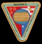 Washes triangular Shoulder  Patch - screen accurate