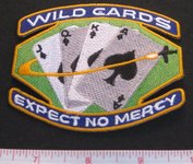 SAAB Wild Cards 'Expect No Mercy' patch 