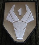 District 9 1st South African Battalion Patch  