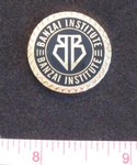 Buckaroo Banzai Institute Logo Pin
